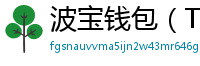 波宝钱包（TronLink）下载
